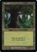 Forest #594