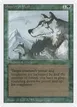 Aspect of Wolf #186
