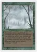 Fog #195