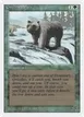 Grizzly Bears #201