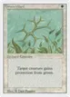 Green Ward #20