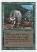 Timber Wolves #219