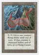 Flying Carpet #248