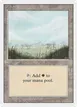Plains #293