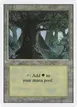 Forest #306
