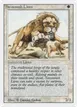 Savannah Lions #39