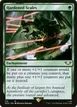 Hardened Scales #215
