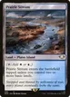 Prairie Stream #290