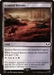 Scoured Barrens #293