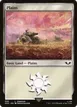 Plains #306