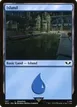 Island #307
