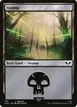 Swamp #310