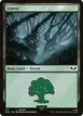 Forest #317