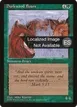 Durkwood Boars #241