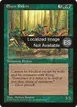 Elven Riders #242