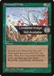 Untamed Wilds #279