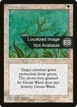 Green Ward #27