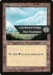 Plains #365