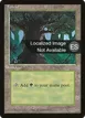 Forest #378