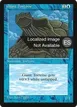 Giant Tortoise #76