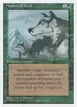 Aspect of Wolf #233