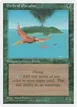 Birds of Paradise #234