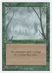 Fog #244
