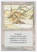 Elder Land Wurm #24