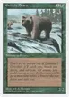 Grizzly Bears #250