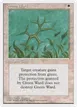 Green Ward #27