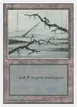 Swamp #372