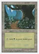 Forest #377