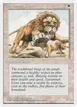 Savannah Lions #48