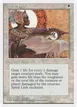Spirit Link #51