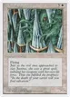 Wall of Swords #55