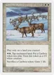 Caribou Range #14