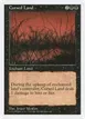 Cursed Land #152