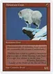 Mountain Goat #252