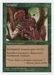 Carapace #281