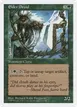 Elder Druid #290