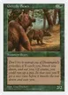 Grizzly Bears #301