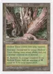 Hollow Trees #418