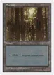 Swamp #438