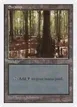 Swamp #439