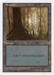 Swamp #441