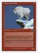 Mountain Goat #195