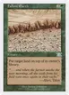 Fallow Earth #227