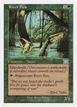 River Boa #249