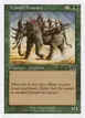 Trained Armodon #257
