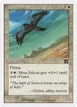 Mesa Falcon #31